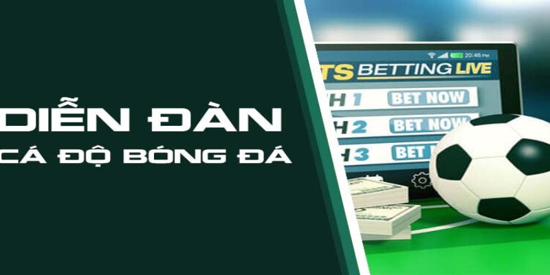 Diễn đàn cá độ bóng đá - Thế giới giải trí đặc sắc