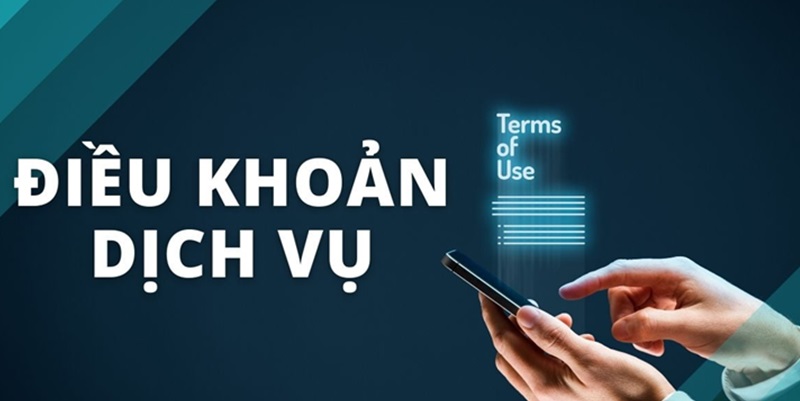 Vài chú ý quan trọng bạn cần nắm về điều khoản dịch vụ