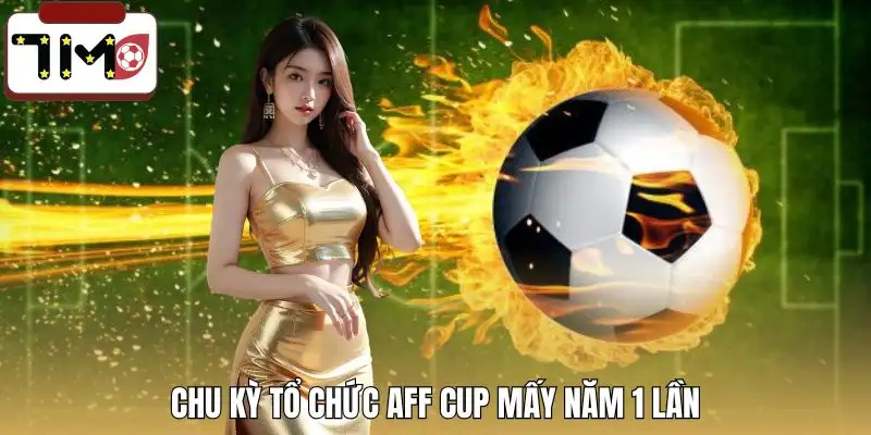aff-cup-may-nam-1-lan-chi-tiet