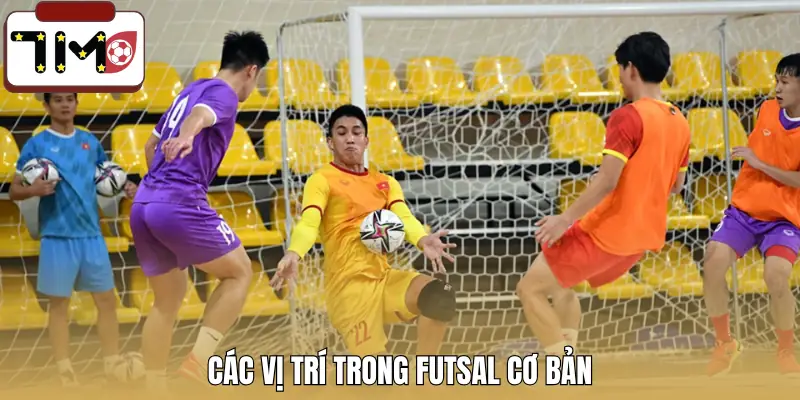 cac-vi-tri-trong-futsal-thong-tin-chung