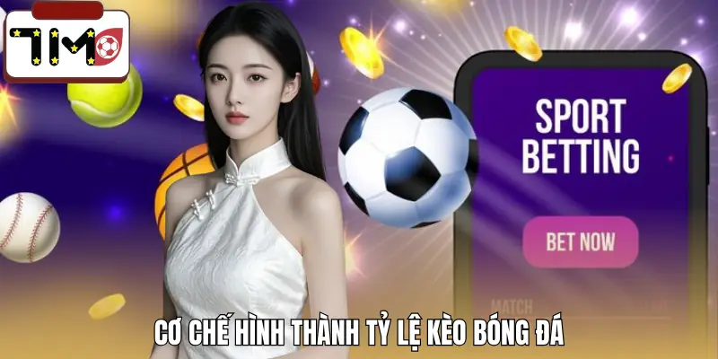 cach-ra-keo-cua-nha-cai-co-che