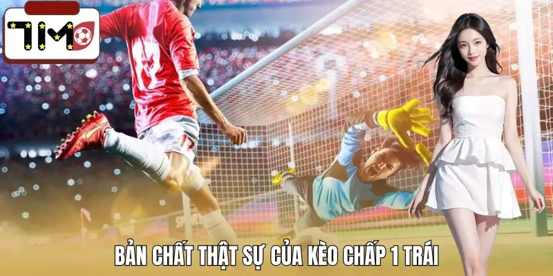 chap-1-trai-la-sao-hieu-dung-ban-chat