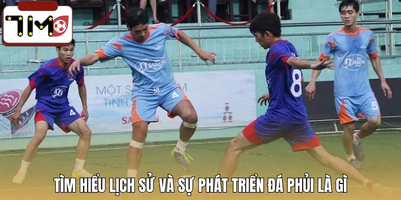 da-phui-la-gi-nguon-goc