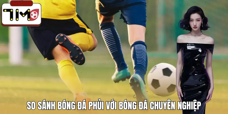 da-phui-la-gi-so-sanh