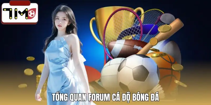 forum-ca-do-bong-da-tong-quan