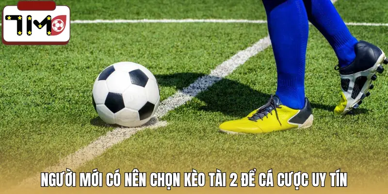 keo-tai-2-la-gi-loi-khuyen-cho-nguoi-moi