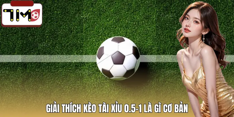 keo-tai-xiu-0-5-1-la-gi-khai-niem