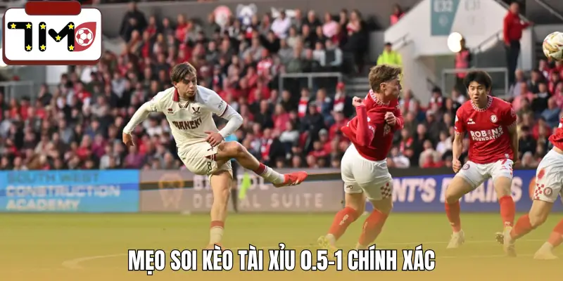 keo-tai-xiu-0-5-1-la-gi-meo-choi