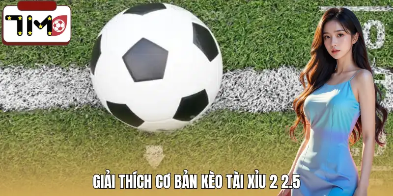 keo-tai-xiu-2-2-5-khai-niem