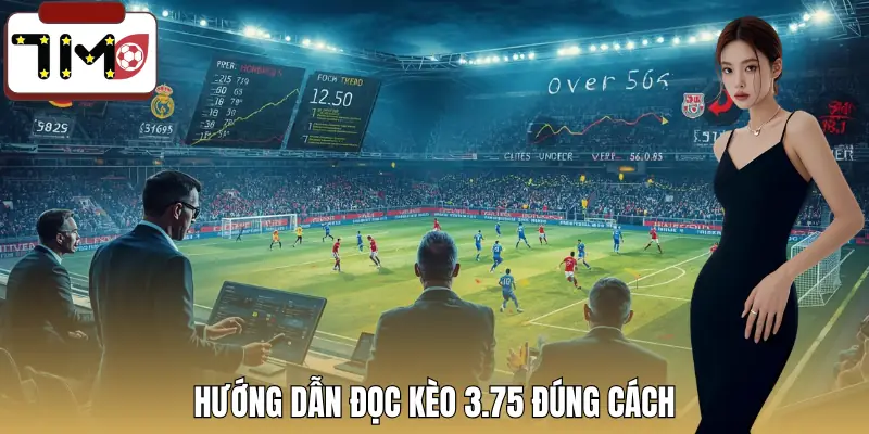 keo-tai-xiu-3-75-la-gi-cach-doc