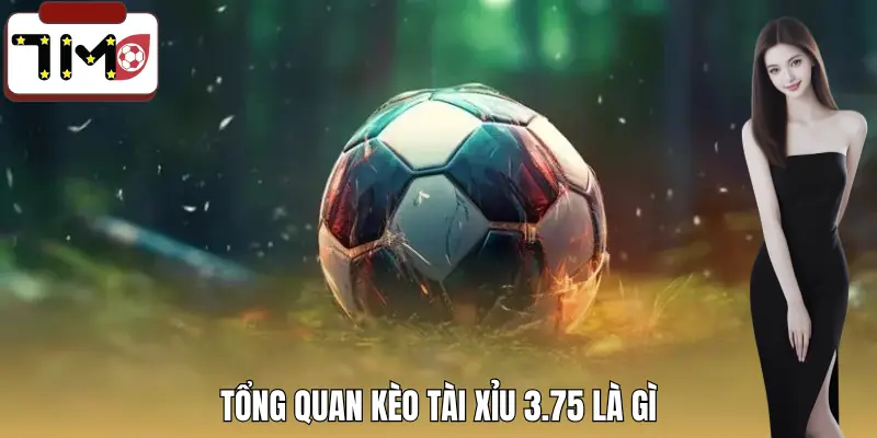 keo-tai-xiu-3-75-la-gi-khai-niem