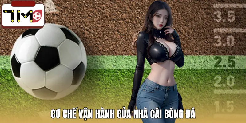 nha-cai-bong-da-la-gi-co-che-van-hanh