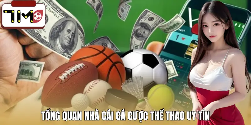 tao-tai-khoan-ca-do-bong-da-gioi-thieu