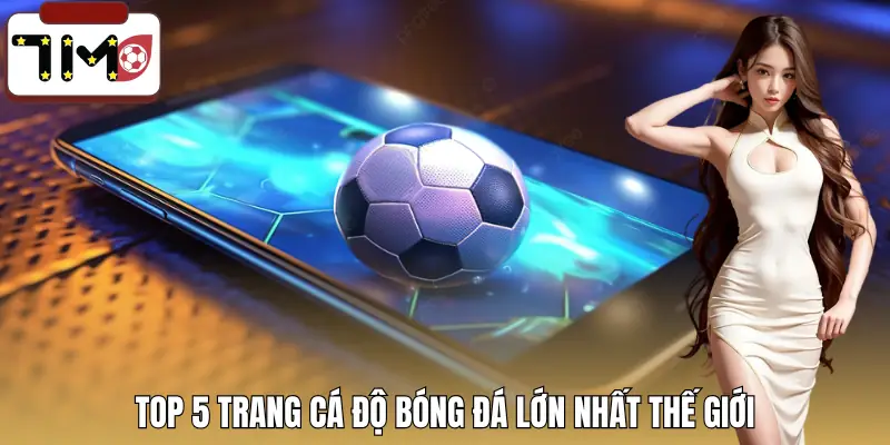 trang-ca-do-bong-da-lon-nhat-the-gioi-danh-sach