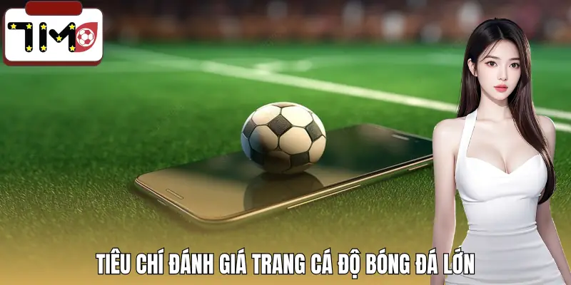 trang-ca-do-bong-da-lon-nhat-the-gioi-tieu-chi