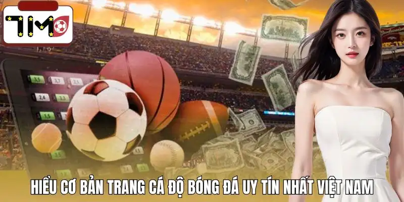 trang-ca-do-bong-da-uy-tin-nhat-viet-nam-hieu-so
